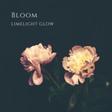 تصویر هنرمند Limelight Glow