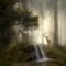 Forest Whisper