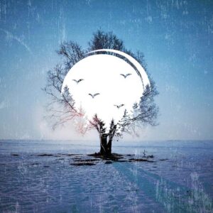 کاور آلبوم پژواک در دره بخش سوم از Various Artists