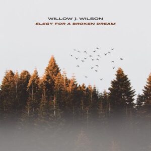 کاور آهنگ Elegy For A Broken Dream از Willow J. Wilson