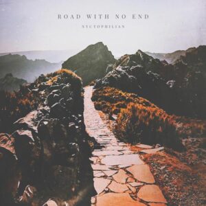 کاور آهنگ Road With No End از Nyctophilian
