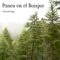 Paseo en el Bosque