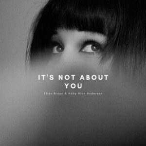 کاور آهنگ It's Not About You از Elias Braun