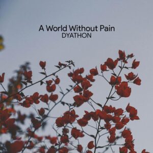 کاور آهنگ A World Without Pain از DYATHON