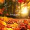 Autumn Leaves
