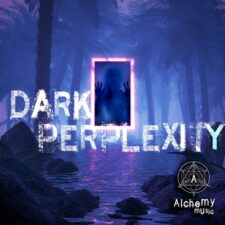 تصویر هنرمند Alchemy Music