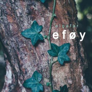 کاور آهنگ Eføy از Elgafar