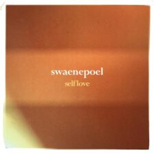 تصویر هنرمند Swaenepoel