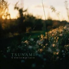 تصویر هنرمند Tsunami