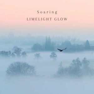 کاور آلبوم اوج گرفتن - لایم لایت گلو از Limelight Glow