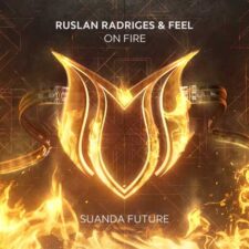 تصویر هنرمند Ruslan Radriges