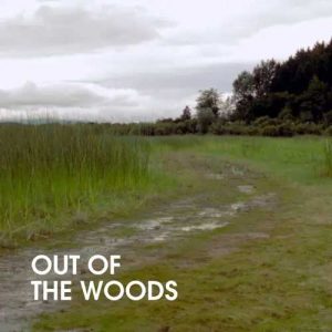 کاور آلبوم بی اهمیت - اوت آو وودز از Out Of The Woods