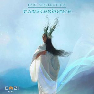 کاور آلبوم ماورائی - هنرمندان مختلف از Various Artists