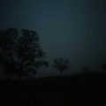 Solitude
