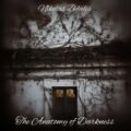 Embrace The Silence (Piano & Cello
