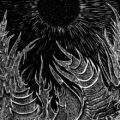 Dark Rift (Somnia