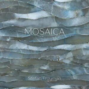 کاور آلبوم موزاییک - استفان ترویمن از Stefan Truyman