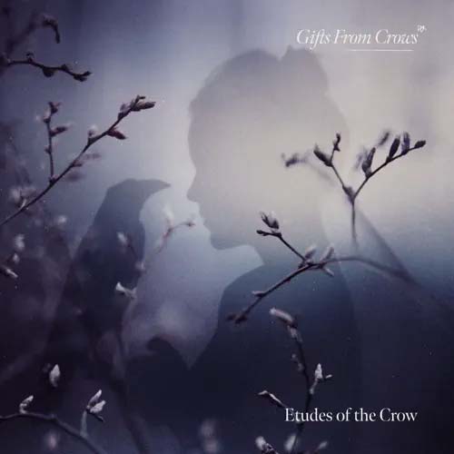 Gifts from Crows
