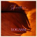 Floating Inside (feat. Mike Lindup & Kioomars Musayyebi
