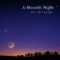 A Moonlit Night 