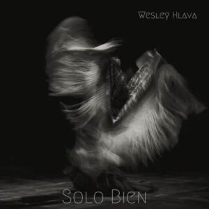 کاور آلبوم سولو بین - وسلی هلاوا از Wesley Hlava