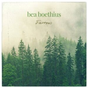 کاور آلبوم شیار ها - بئا بوتیوس از Bea Boethius