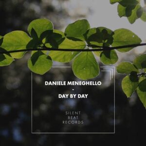 کاور آلبوم روز به روز - دانیل منگلو از Daniele Meneghello