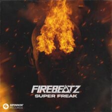 تصویر هنرمند Firebeatz