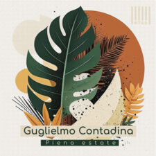 تصویر هنرمند Guglielmo Contadina