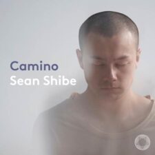 تصویر هنرمند Sean Shibe