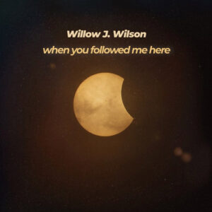 کاور آلبوم وقتی اینجا مرا دنبال کردی - ویلو جی ویلسون از Willow J. Wilson