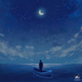 Star Covered Sky