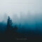 Meadow - Single