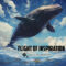 Flight of Inspiration - Single
