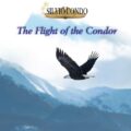 The Flight of the Condor