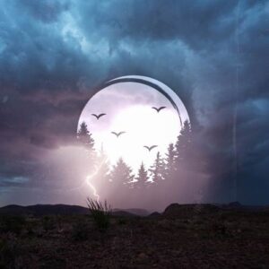 کاور آلبوم آلبوم موسیقی امبینت پژواک در دره قسمت هشتم از هنرمندان مختلف از Various Artists