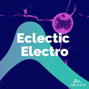 کاور آلبوم آلبوم بدون کلام دنس الکتریک الکترو از Various Artists