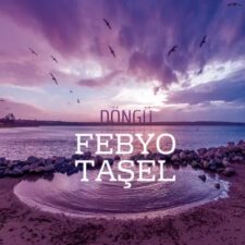 تصویر هنرمند Febyo Ta_el