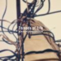 The Doldrums (From _The Mercy_ Soundtrack