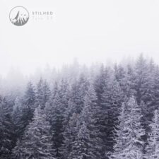 تصویر هنرمند Stilhed