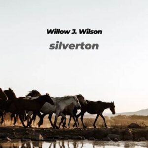 کاور آلبوم آلبوم کلاسیکال مدرن سیلورتون از ویلو جی ویلسون از Willow J. Wilson