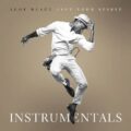 Wake Me Up (Instrumental