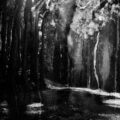 Echo