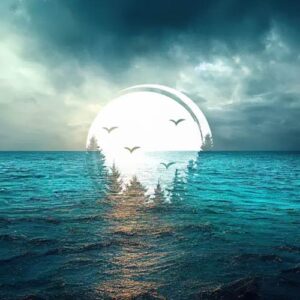 کاور آلبوم آلبوم موسیقی امبینت پژواک در دره قسمت دهم از هنرمندان مختلف از Various Artists