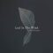 Leaf In The Wind