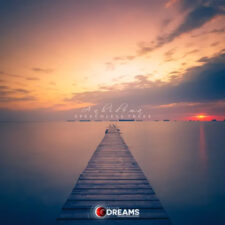 تصویر هنرمند Anhidema