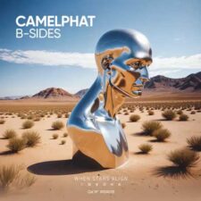 تصویر هنرمند CamelPhat