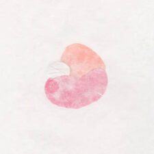 تصویر هنرمند Yoko Komatsu