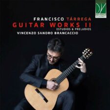 تصویر هنرمند Vincenzo Sandro Brancaccio
