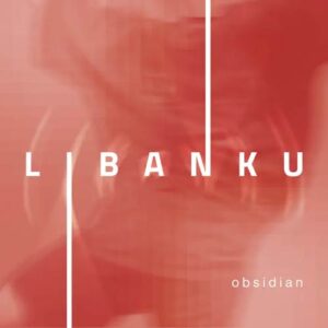کاور آلبوم آلبوم موسیقی مدرن کلاسیکال ابسیدین از لیبانکو از Libanku